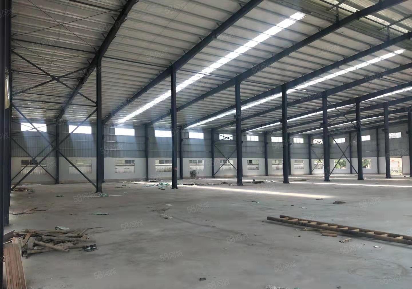 园洲镇独门独院厂房总面积12000方钢构，滴水9.5米