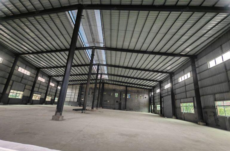 园洲本地老大哥自建单一层880平，滴水8米空地大 价格不贵