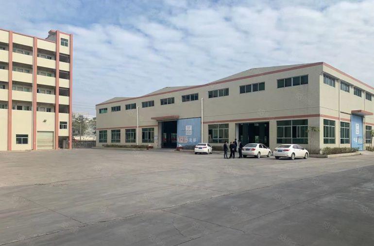 园洲临东莞钢结构独院，单价13块，滴水10米，带行车，可分租