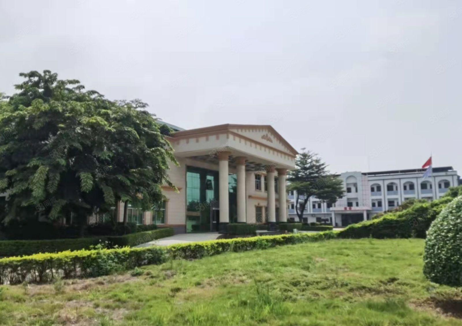 龙华镇花园式红本双证单一层厂房出租