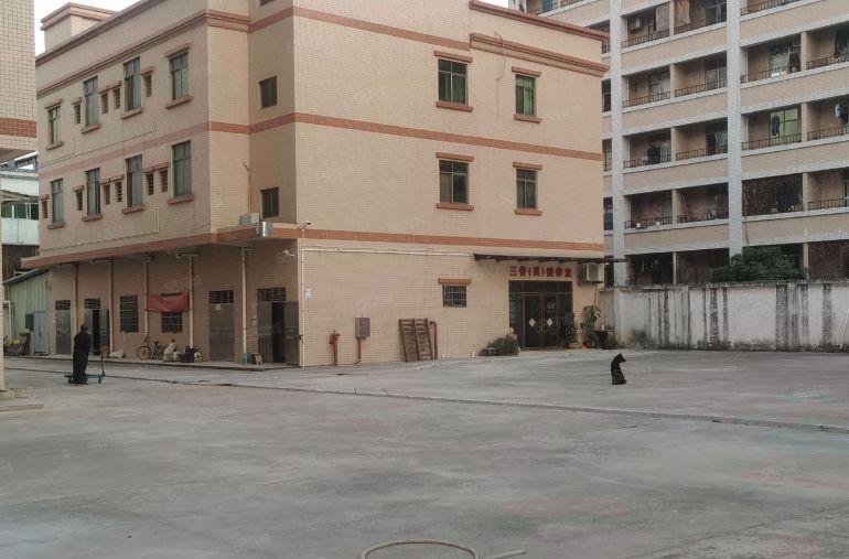 精典原房东独门独院4层6800平方出租，独立豪华宿舍空地大