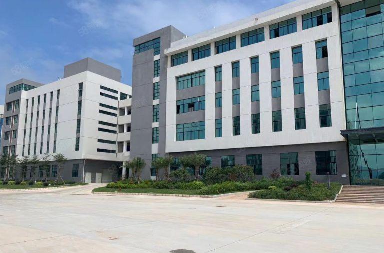 原房东厂房价格超便宜滴水8米靠主干道空地大交通便利证件齐全