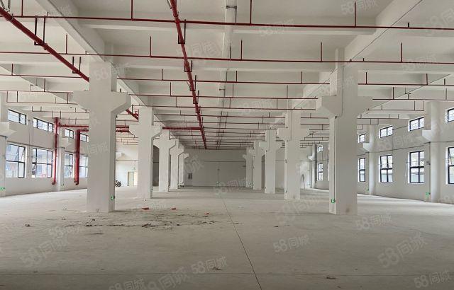 博罗龙溪全新原房东标准厂房出租可分租