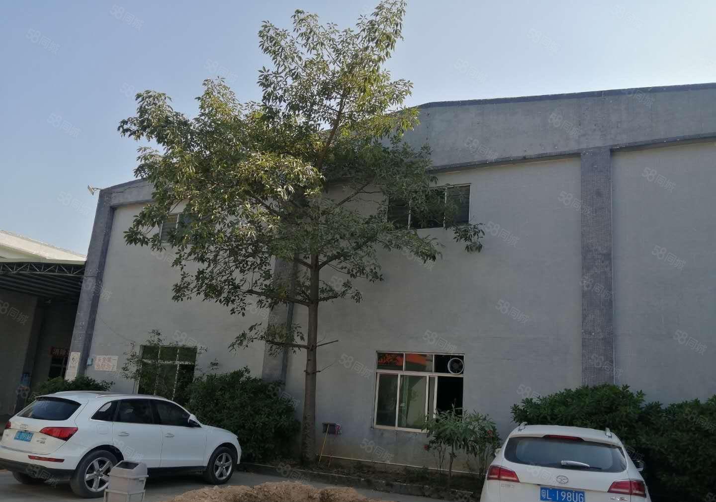 龙溪龙桥大道单一层加标准厂房24500平方出租