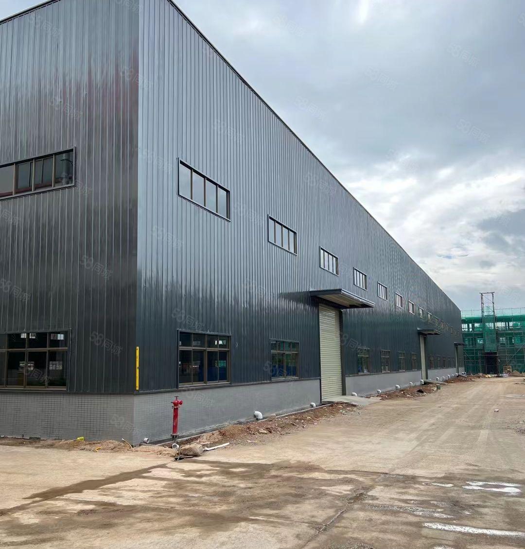 博罗泰美国道高12米单一层约7980平方全新钢构厂房招租可分