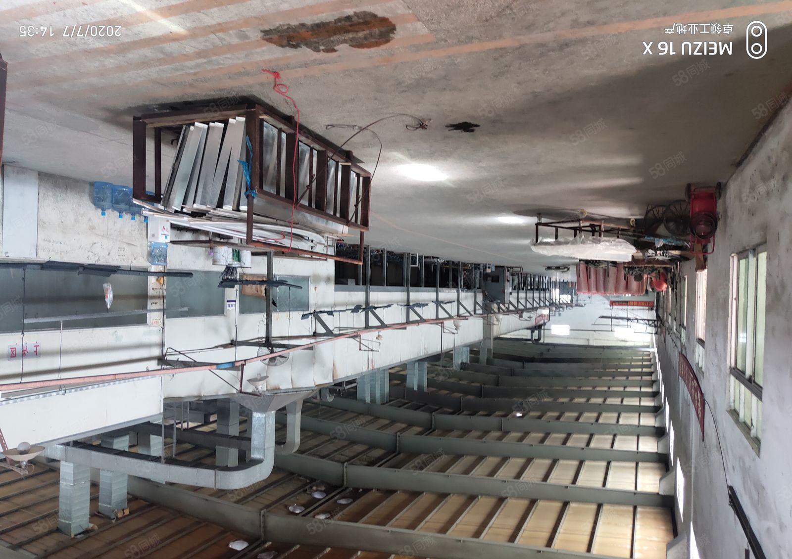 惠州市博罗县龙溪镇独院标准单一层，现成喷涂环评