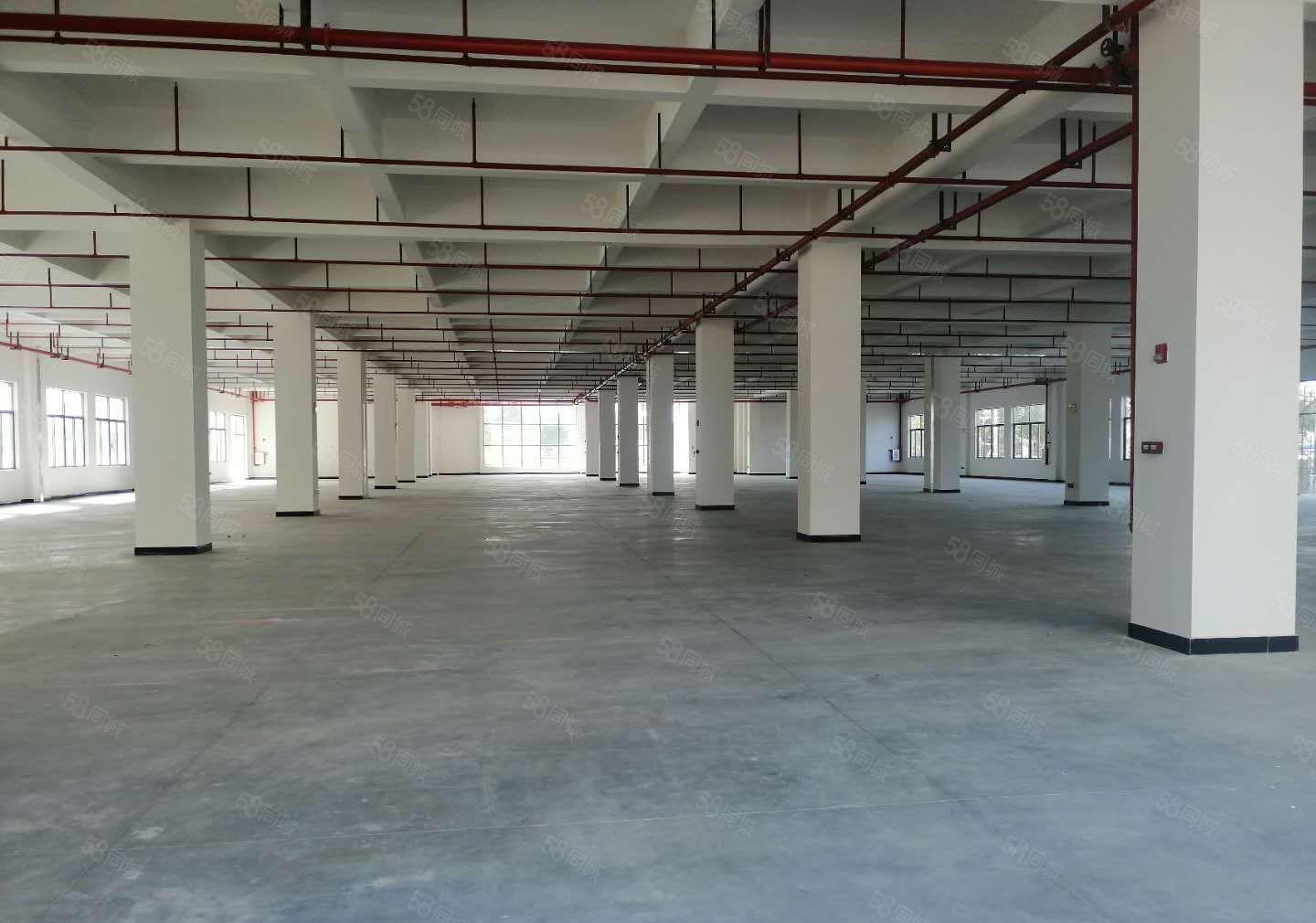 园洲工业区附近新出6880平方标准厂房出租，可以分租