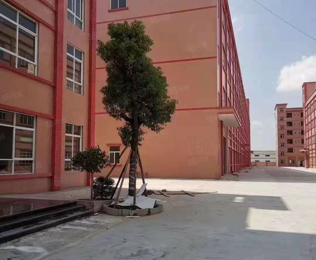 惠州市石湾镇原房东全新独门独院标准厂房33000平方招租