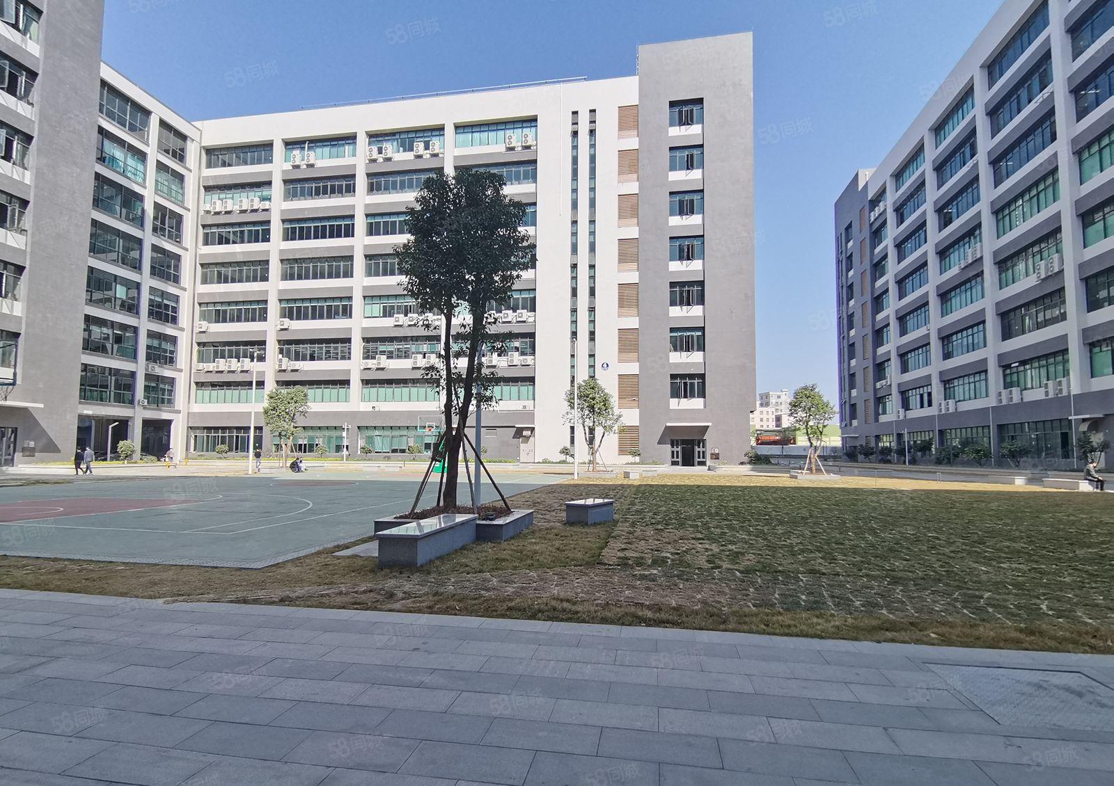 博罗 园洲新出原房东2万平工业厂房出租自建房使用率高可分租