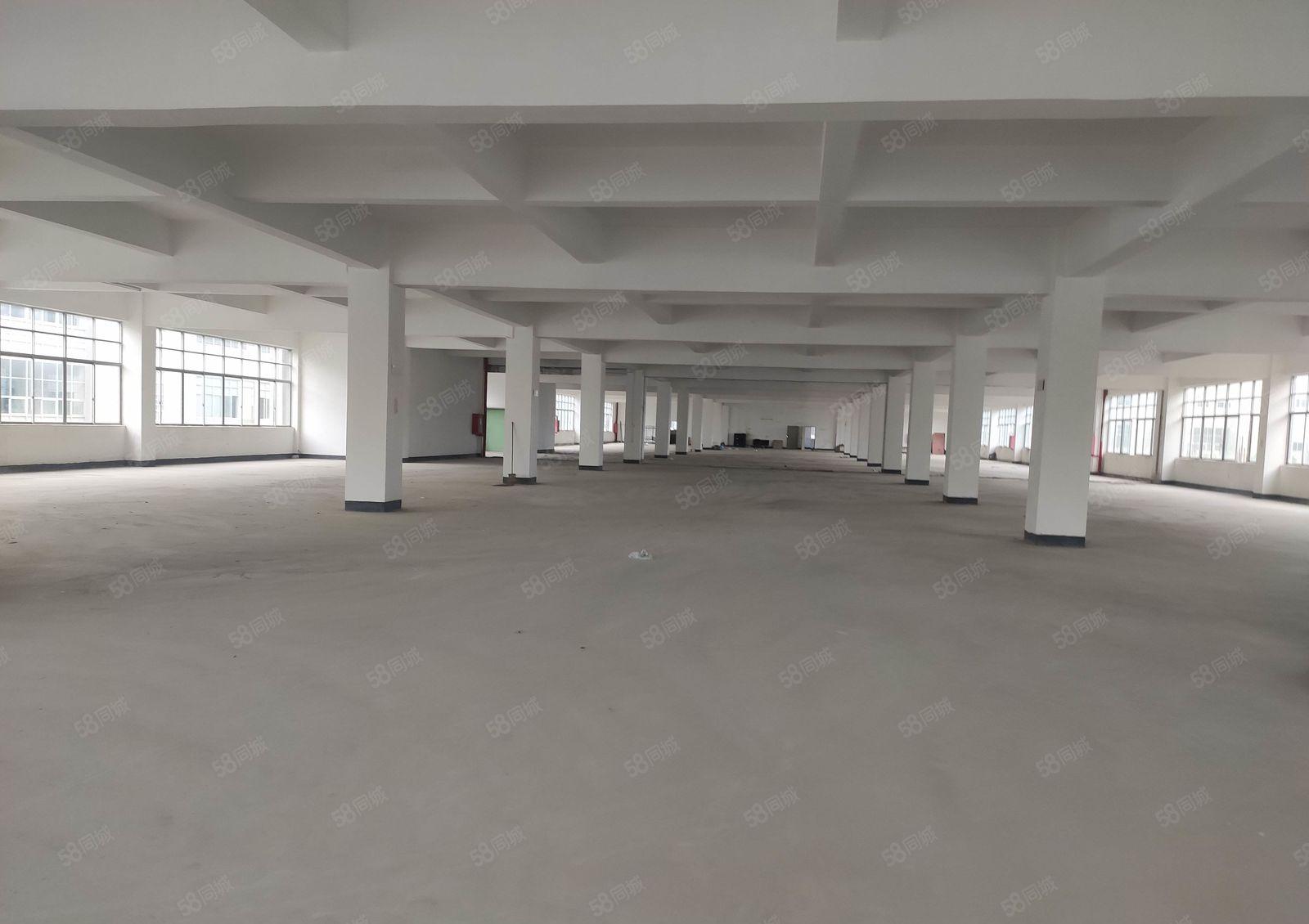 惠东 白花镇 大型工业区 1000平2000平实际面积原房东