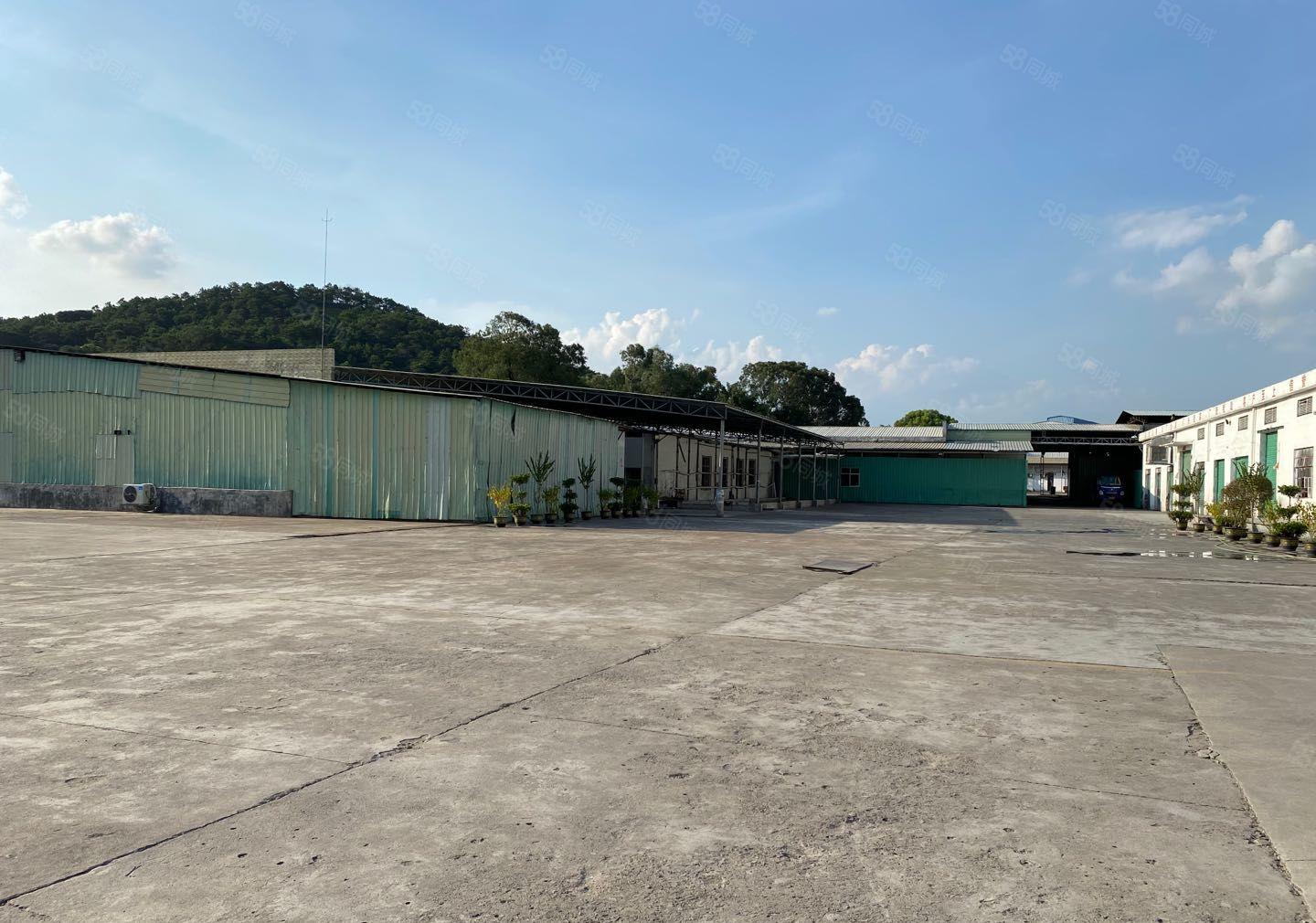 惠东大岭镇繁华地段10000平厂房可分租低价精装修出租