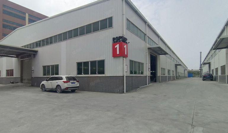 惠东县白花国道旁原房东独栋钢结构滴水九米6000平方厂房出租