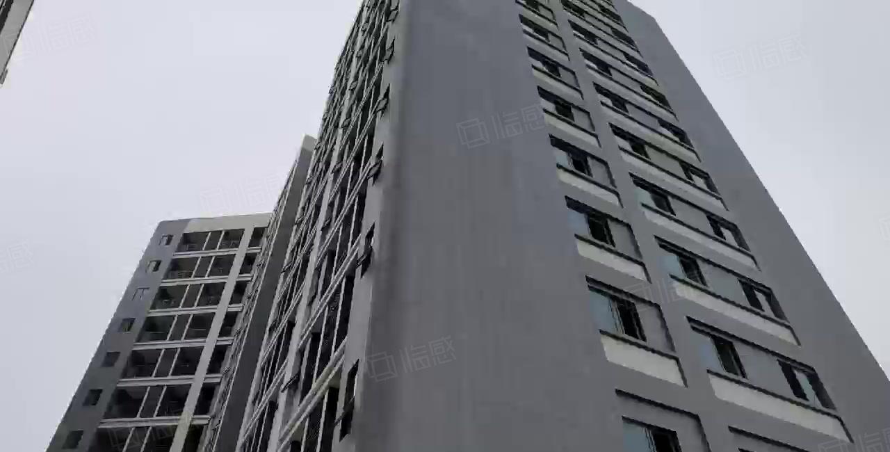 惠东平潭镇60000平方全新红本标准厂房原房东招租可分租