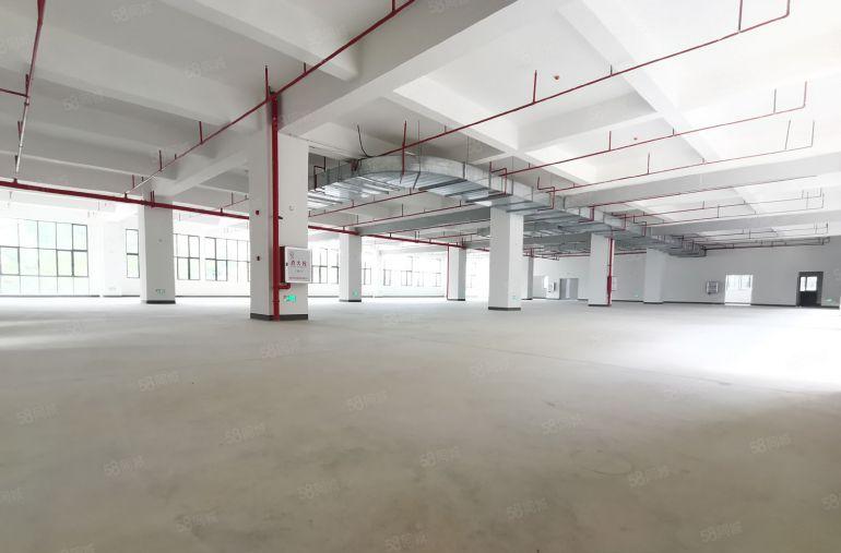 惠东高标准智造示范基地M2用地可围独院7元平起