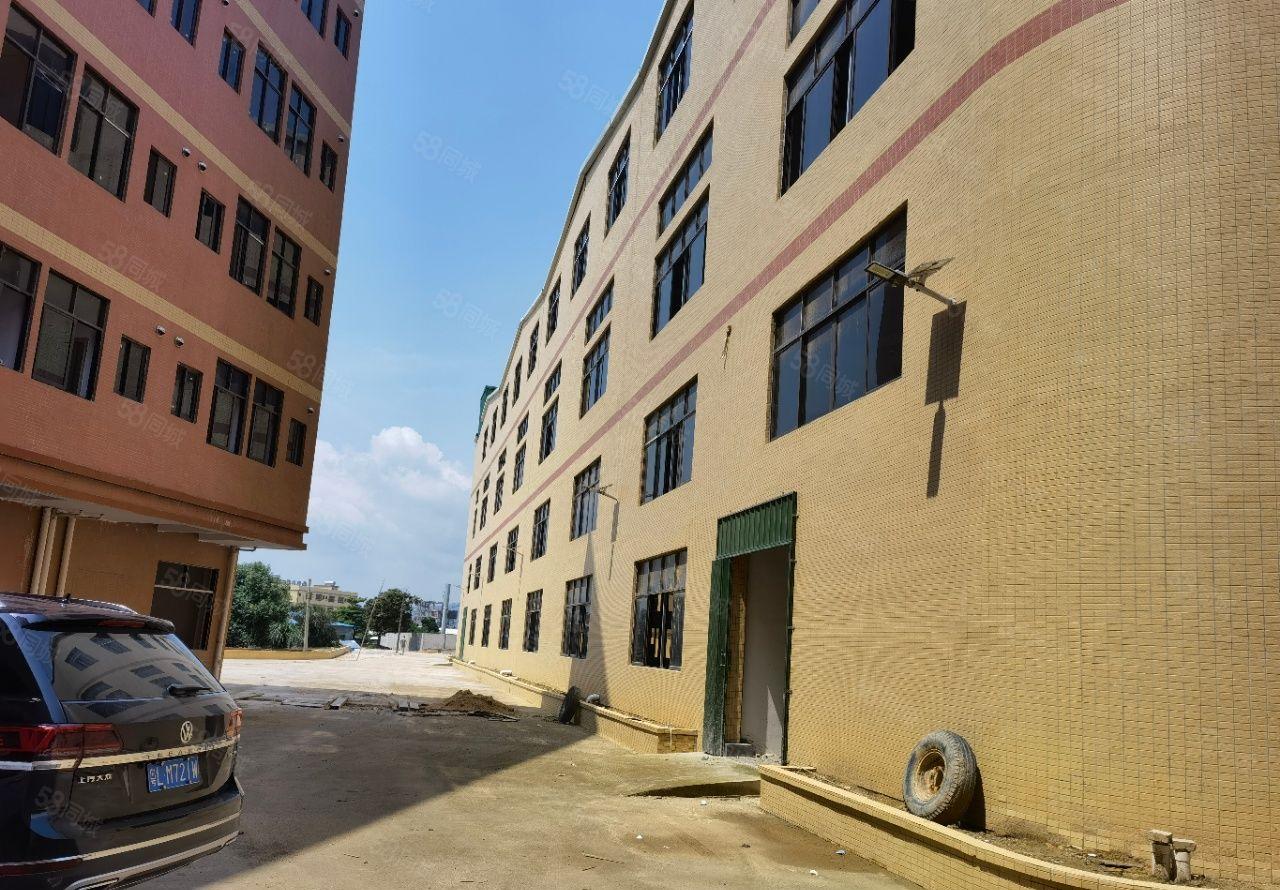 惠州市惠东吉隆镇独栋10500平全新钢结构厂房重工业