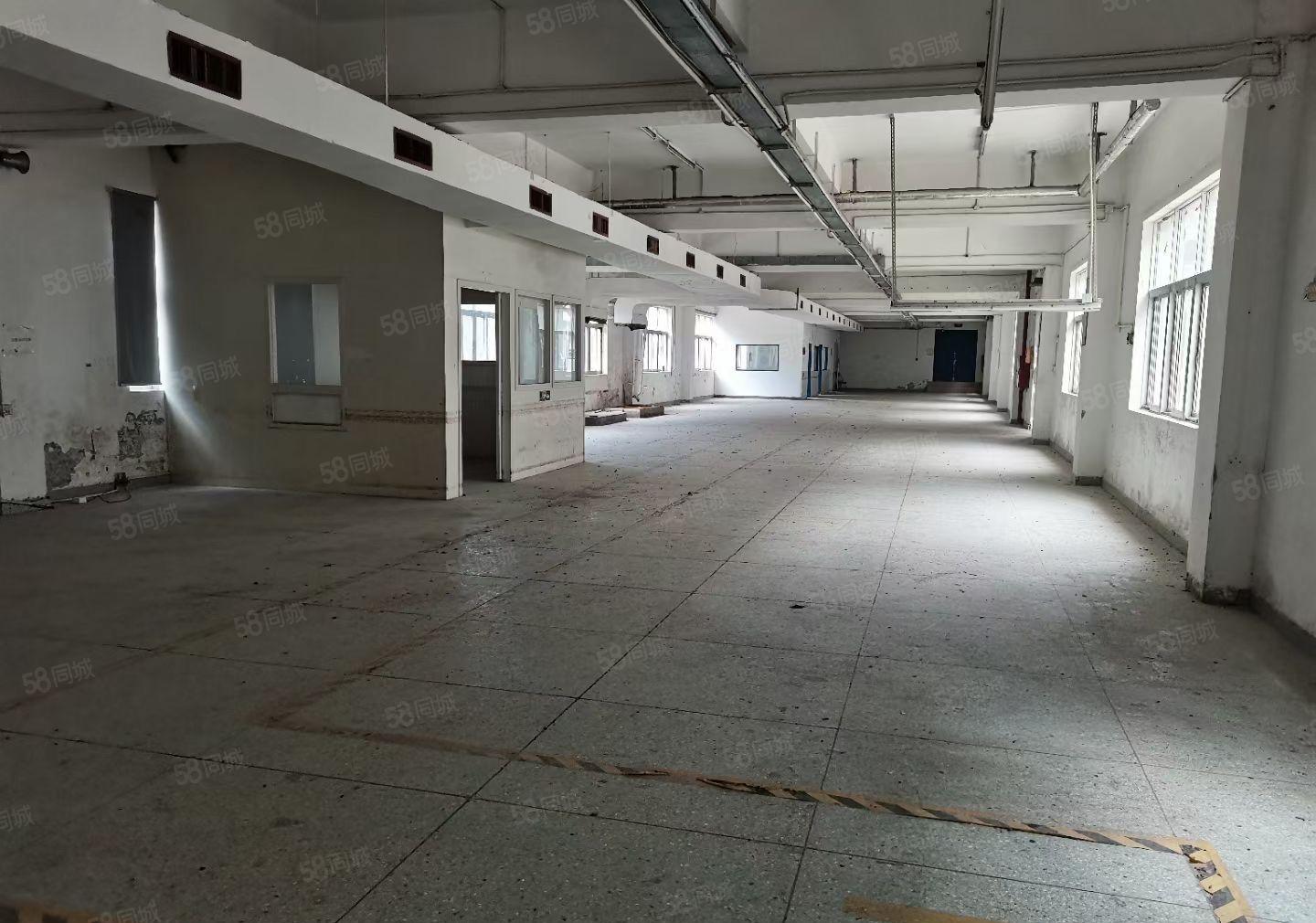 出租大岭鞋材市场附近电梯3楼，520平方淘宝办公室，11元