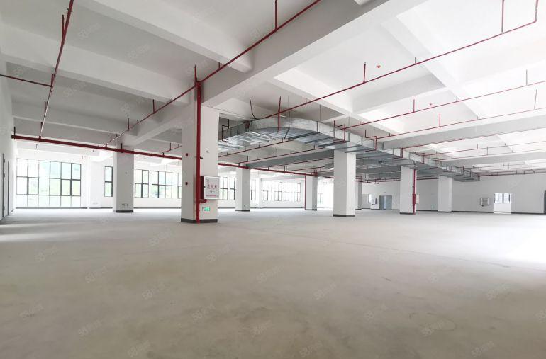 惠东高标准智造示范基地M2用地可围独院7元平起