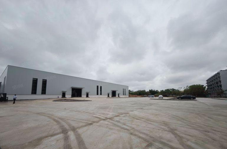 13元滴水9米全新红本单一层8000平方惠东大岭原房东直租