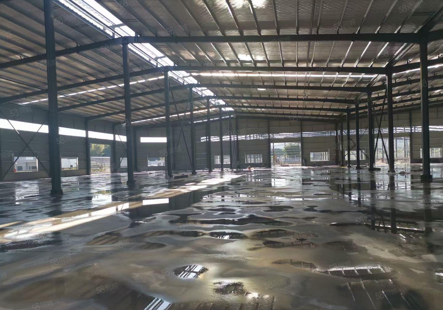 惠东全新钢构厂房出租 三万平方 大小可分租 交通便