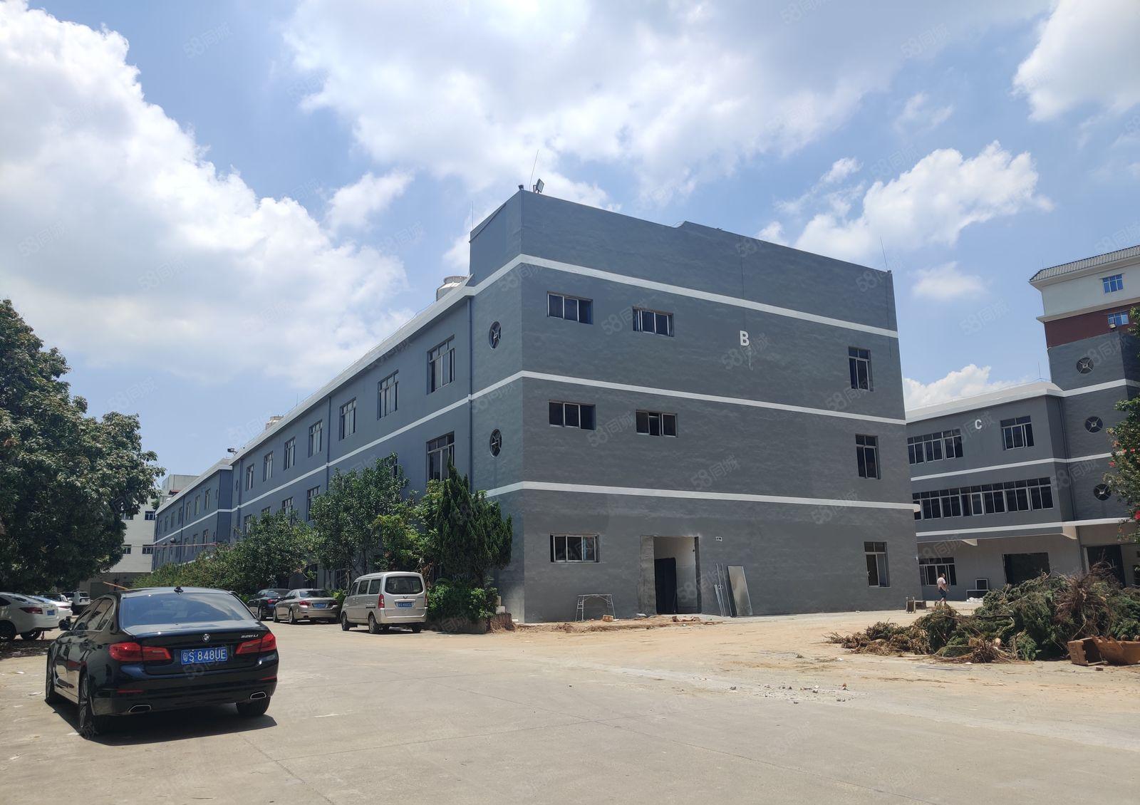 6元原房东惠东白花大岭无公摊厂房200平起租一楼仓库厂房出租