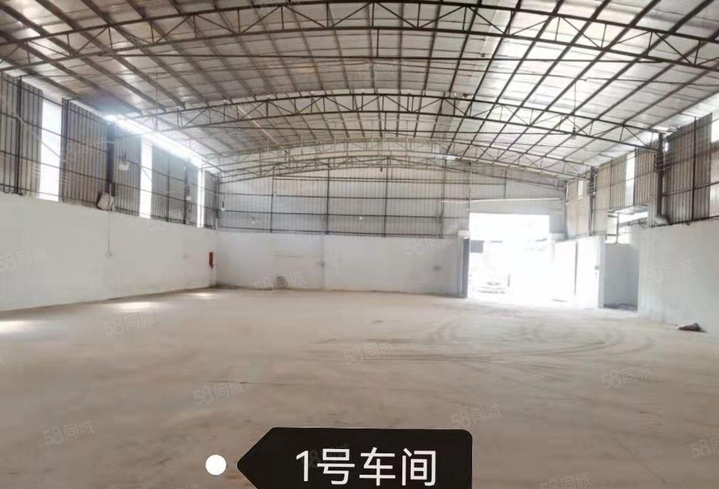 惠东县黄埠镇原房东单一层钢结构厂房2300平方米