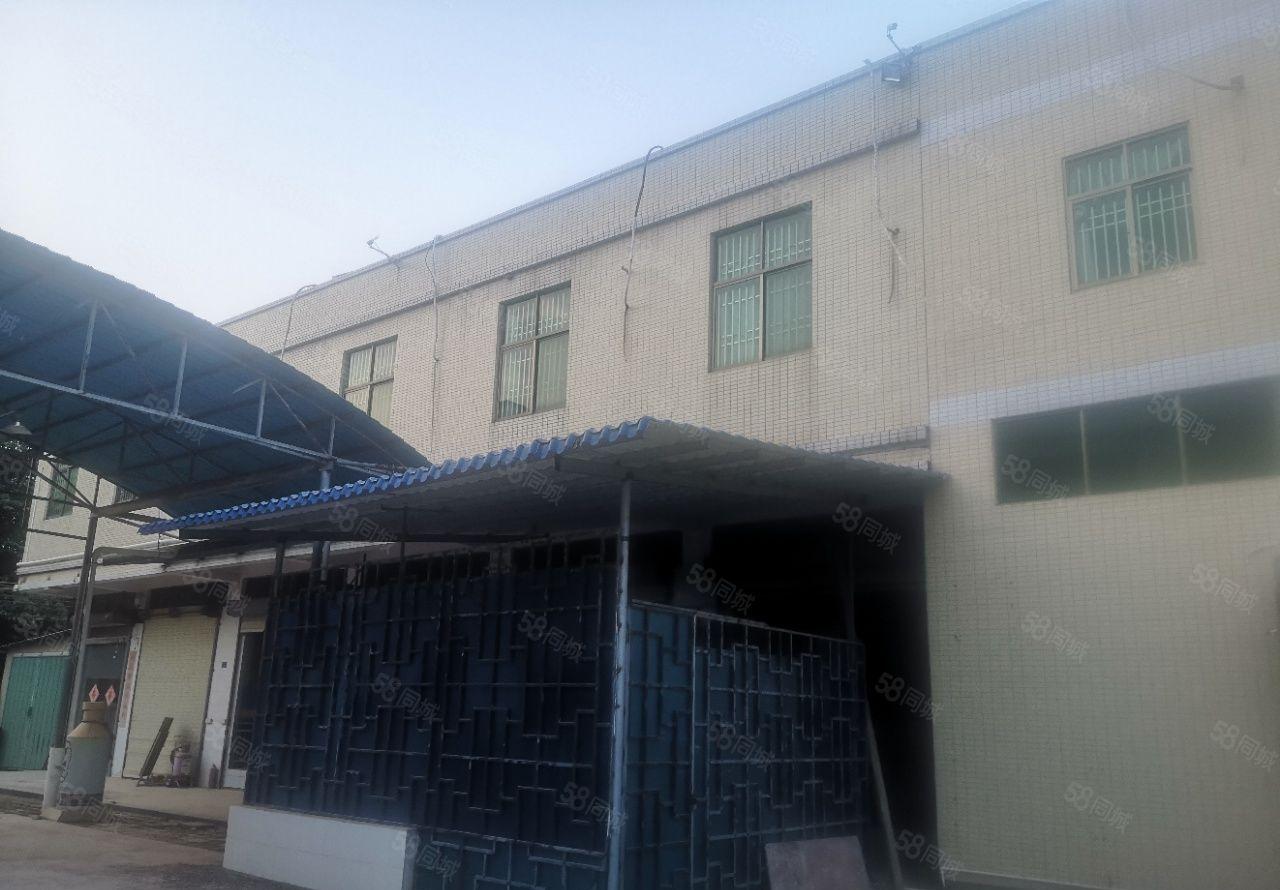 惠东县吉隆镇原房东经典小独院2000平方招租可做污染行业