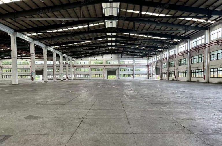 惠东大岭原房东独院5800平方滴水8.5米