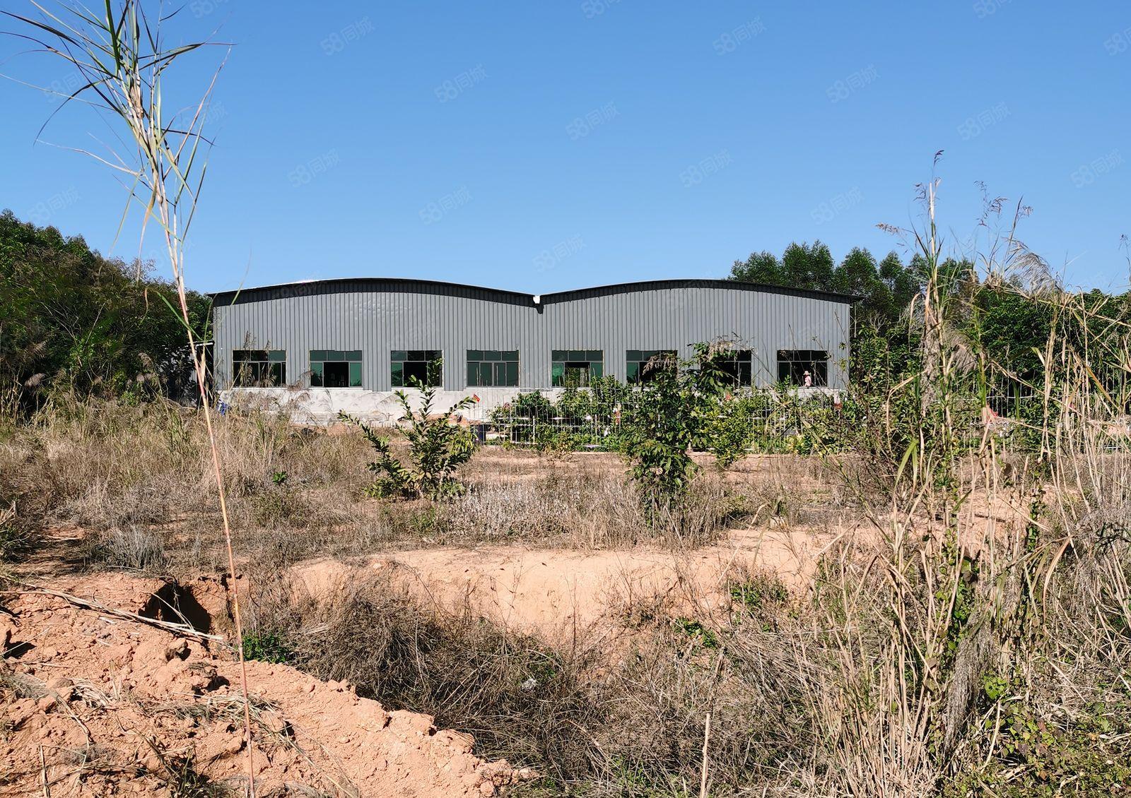 惠东环城北路2200平方米钢构厂房出租，无居民，250kw