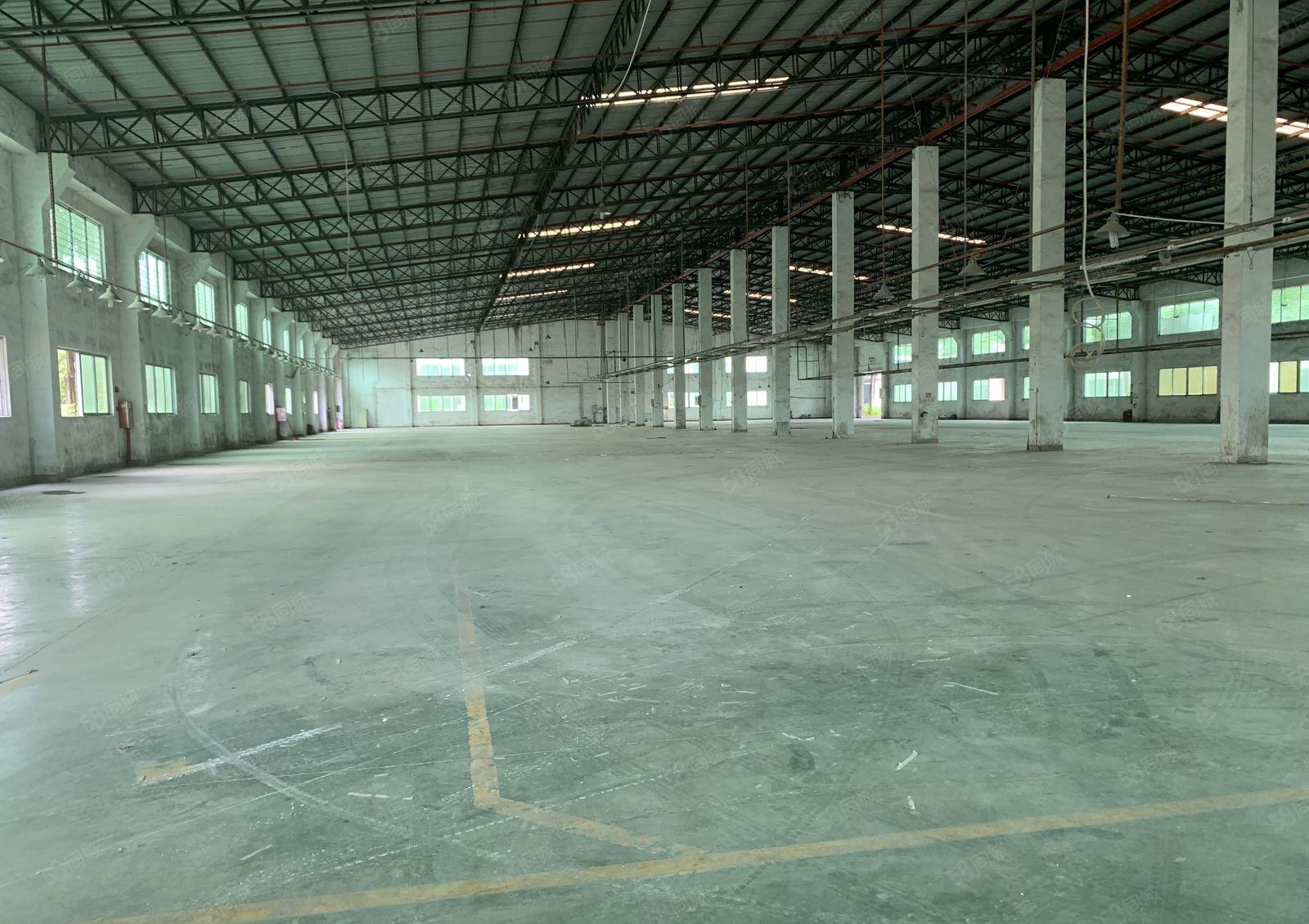 惠东红本钢构厂房2800平方可分租10米高空地大