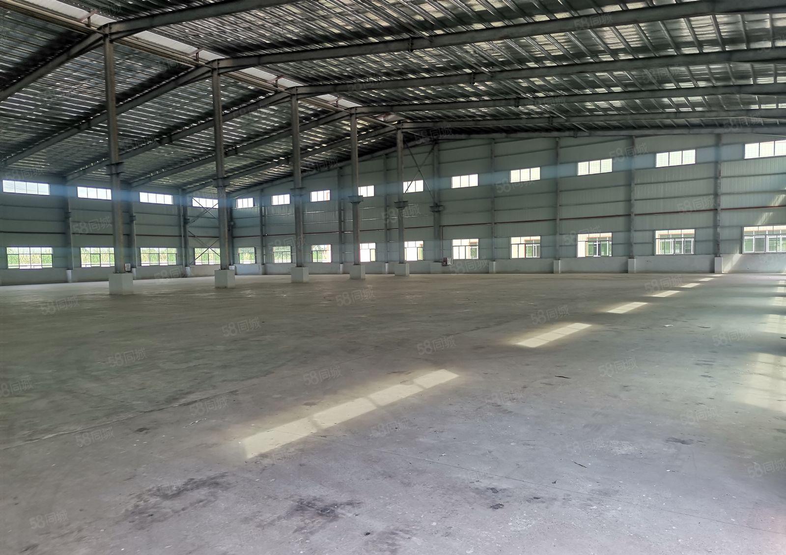 15元，惠东白花原房东钢构厂房低价招租