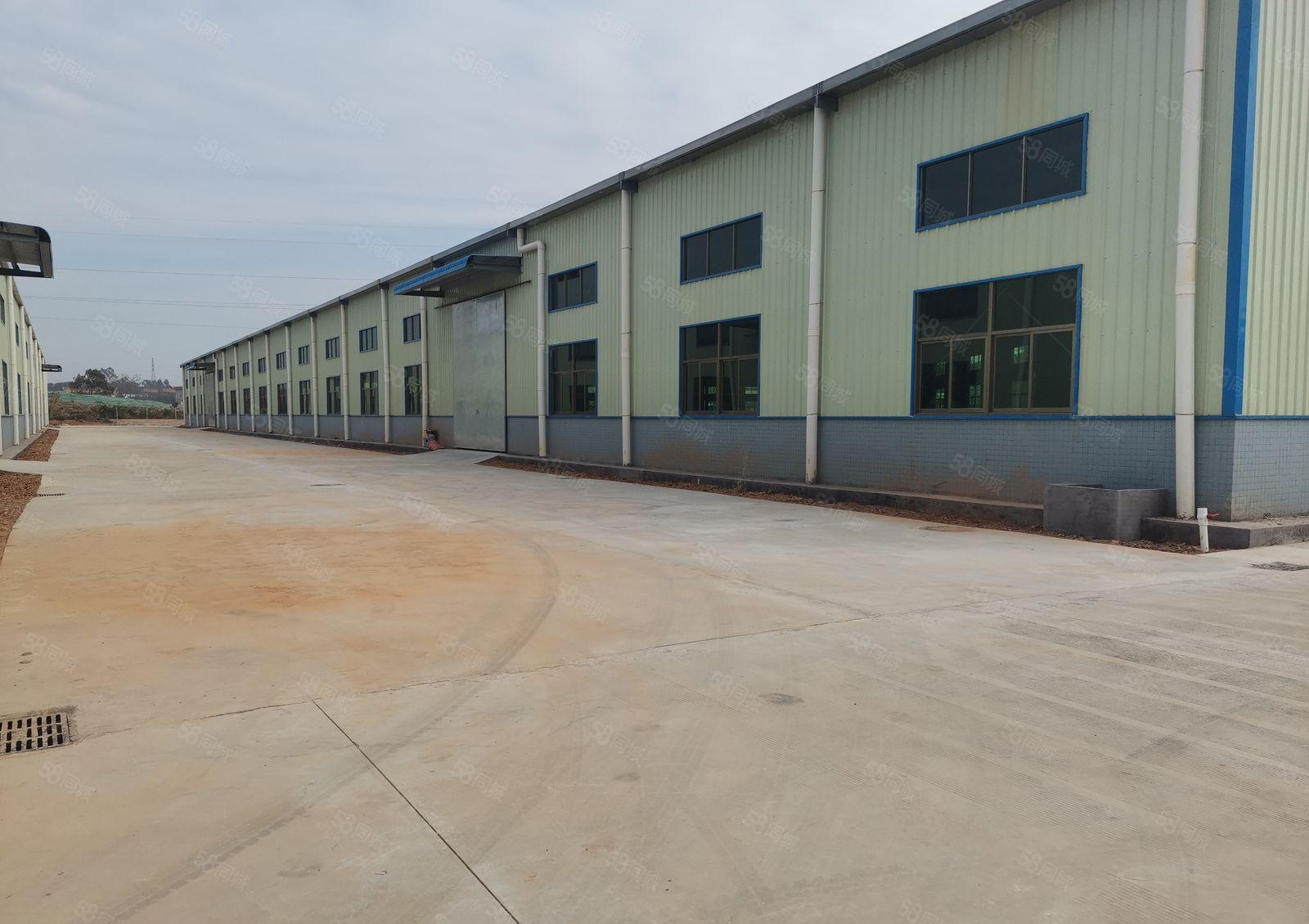 15元，惠东白花原房东钢构厂房低价招租