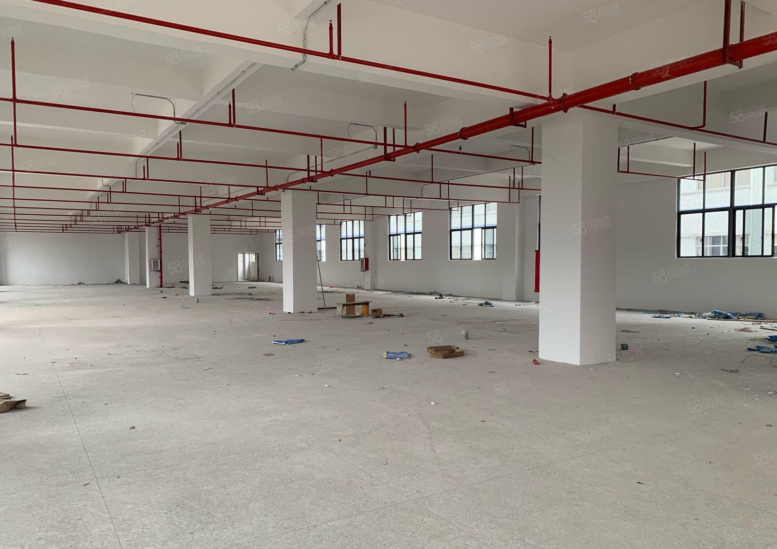 (带货梯)大岭镇鞋材市场厂房600平方出租价格低空地大