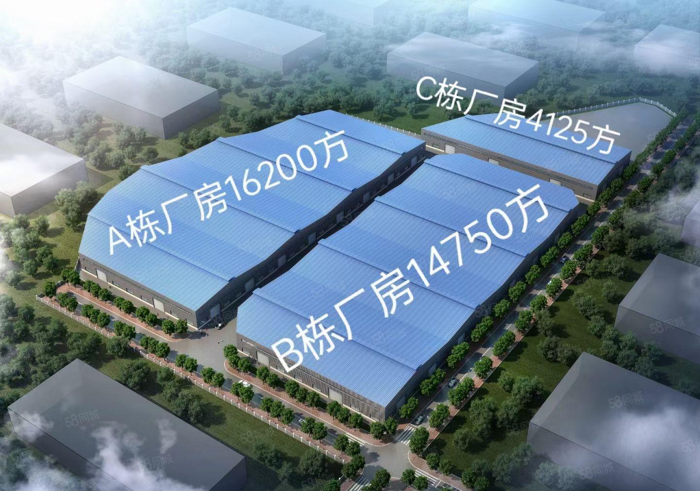 惠东全新钢构厂房出租 三万平方 大小可分租 交通便