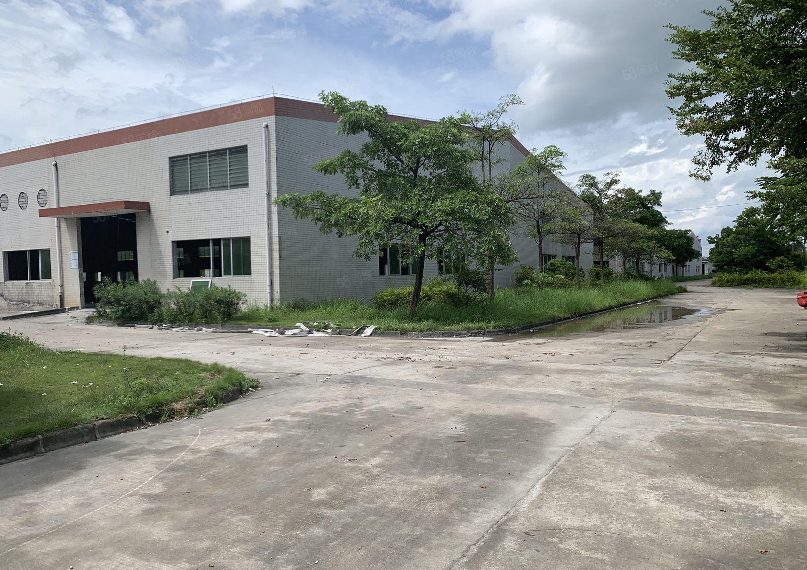 惠东红本钢构厂房2800平方可分租10米高空地大