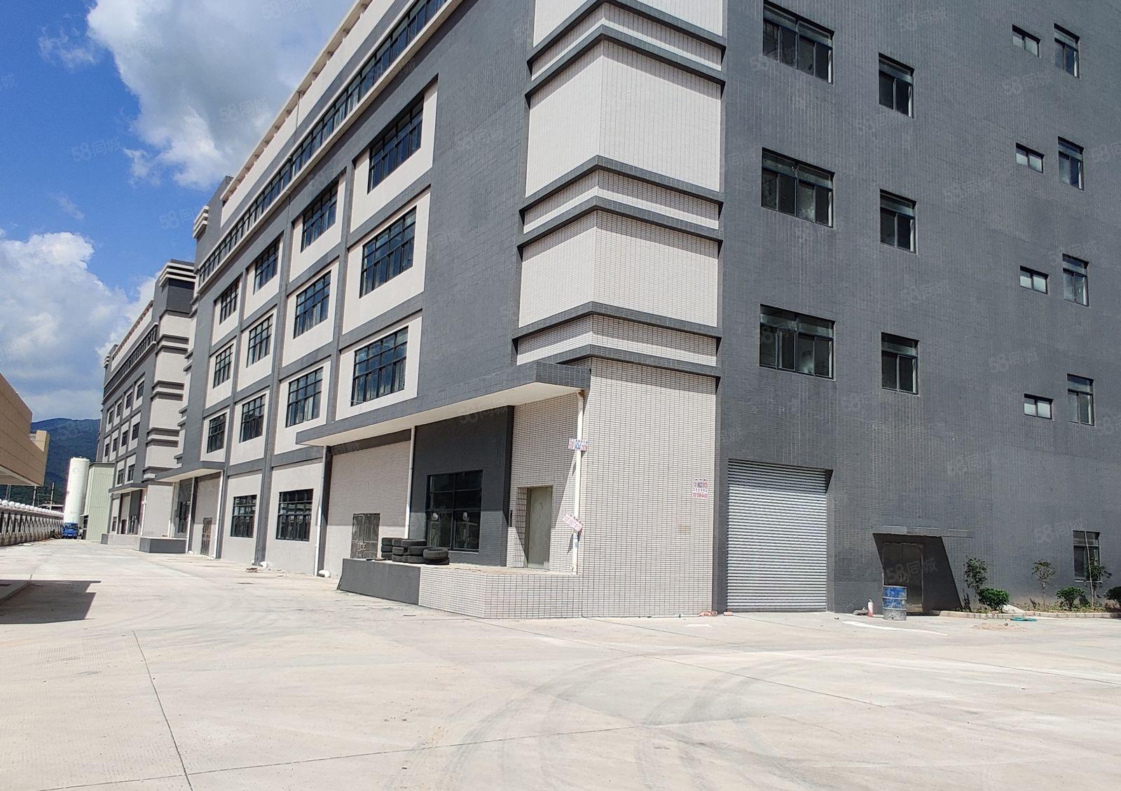 惠东大岭原房东红本厂房招租3万平方可办环评 高速口1公里