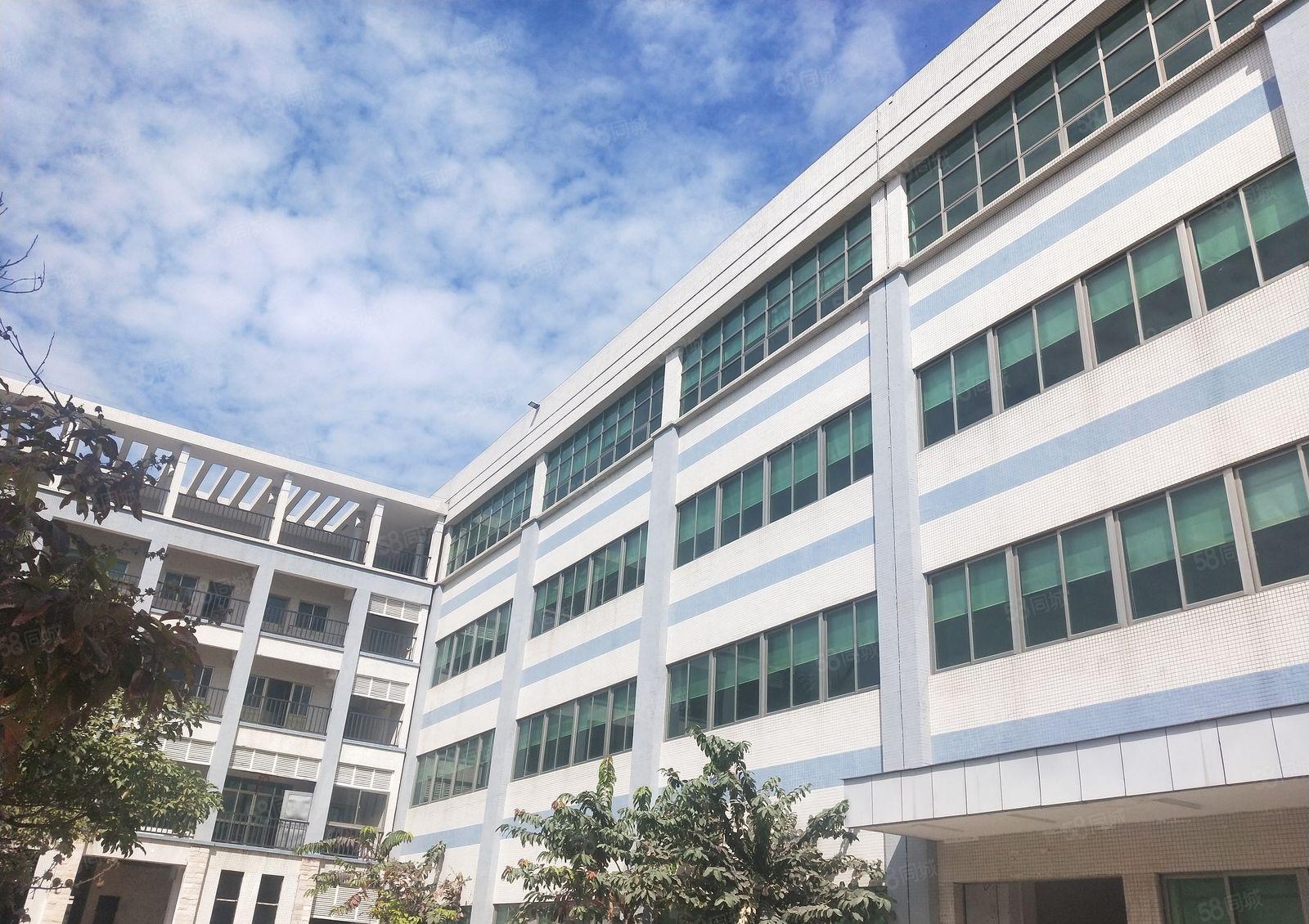 惠东县黄埠镇花园式独门独院红本标准厂房4800平，可办环评