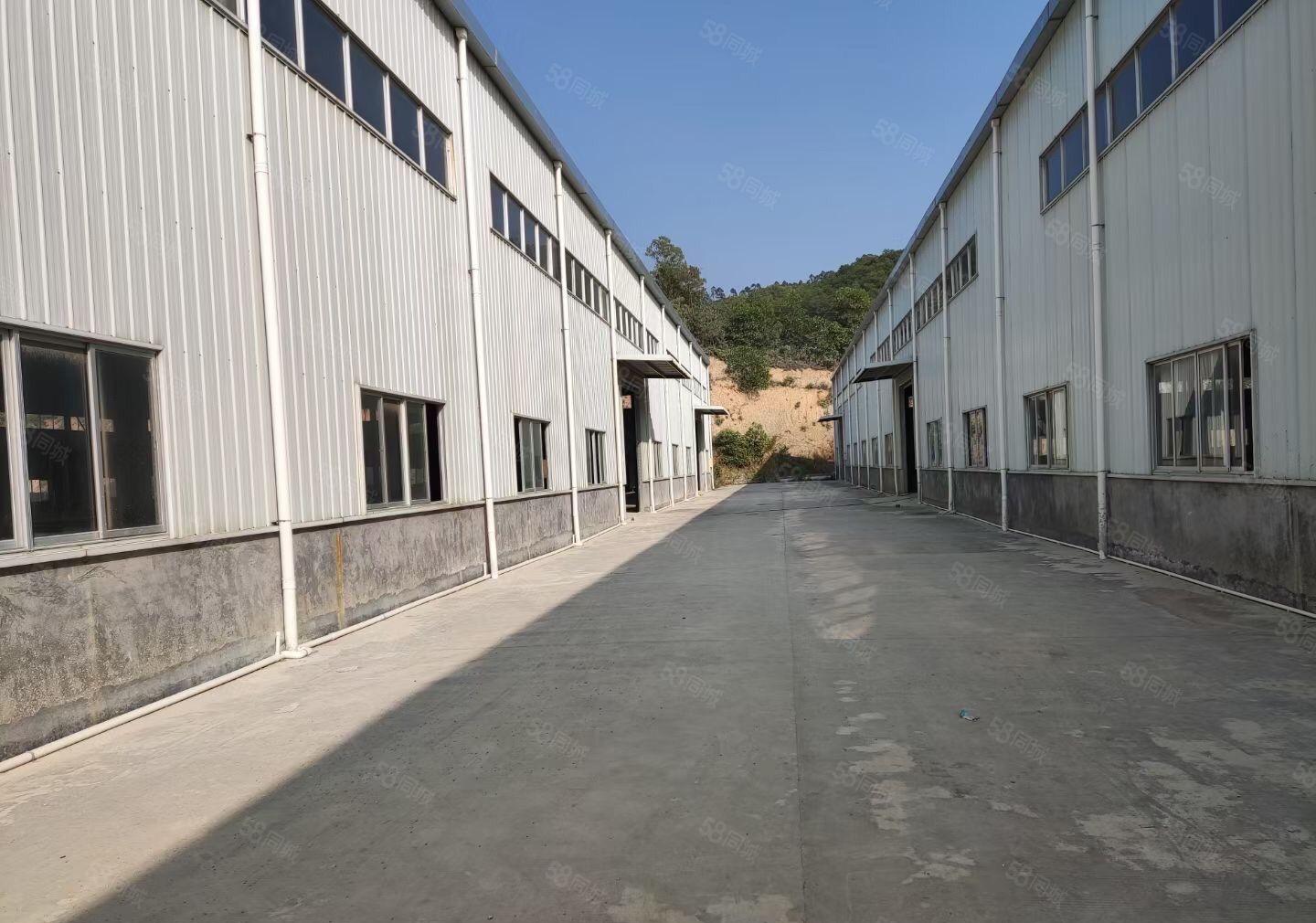 惠东白花原房东单一层独院厂房18000平方可以分租