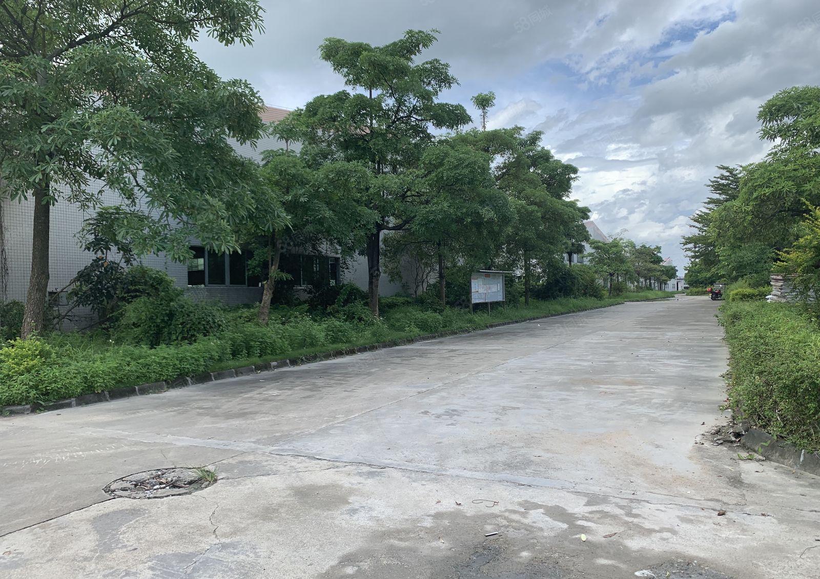 惠东红本钢构厂房2800平方可分租10米高空地大