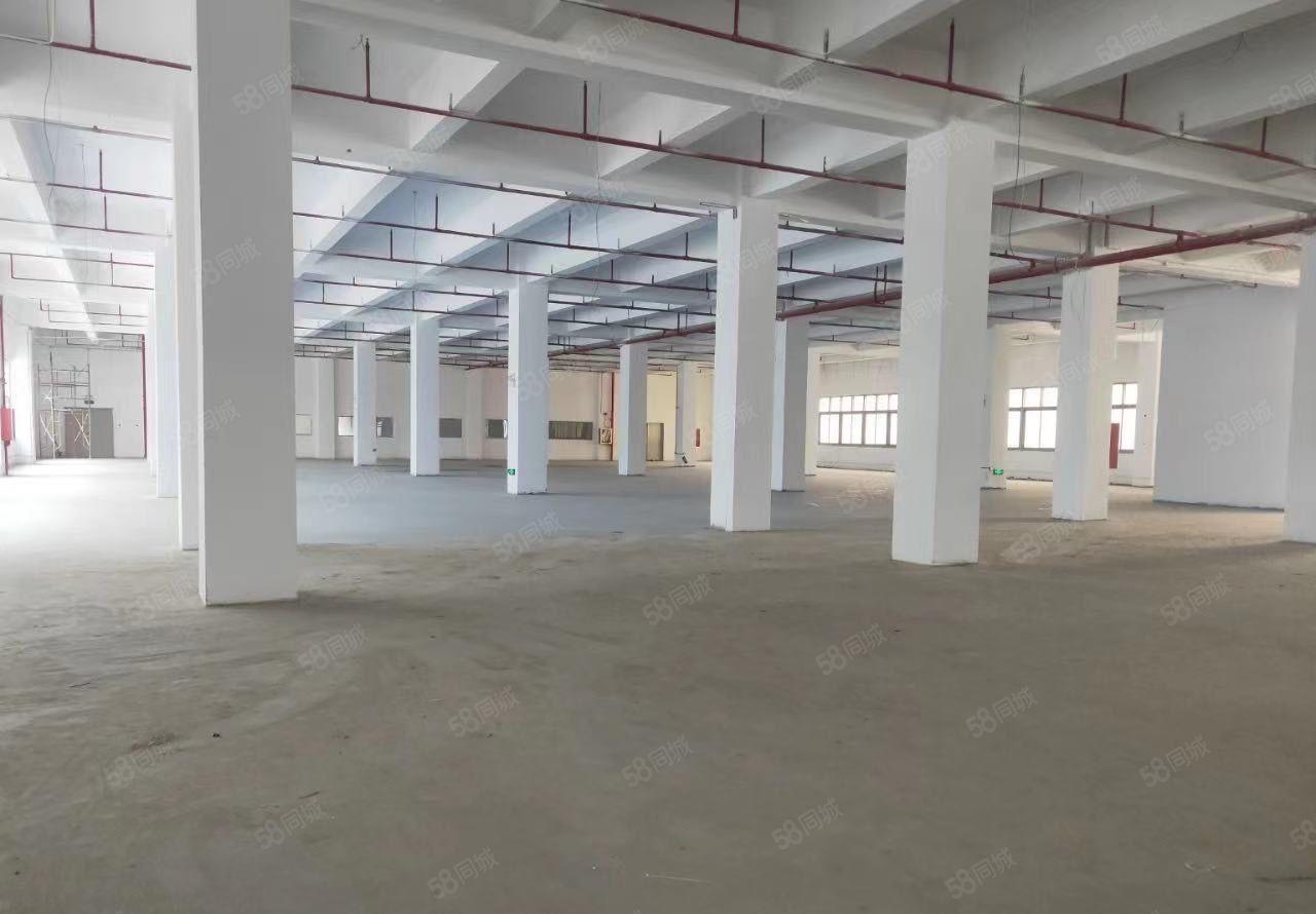 惠东县大岭镇6千平红本厂房出租 一路6米 主线到车间 好招工