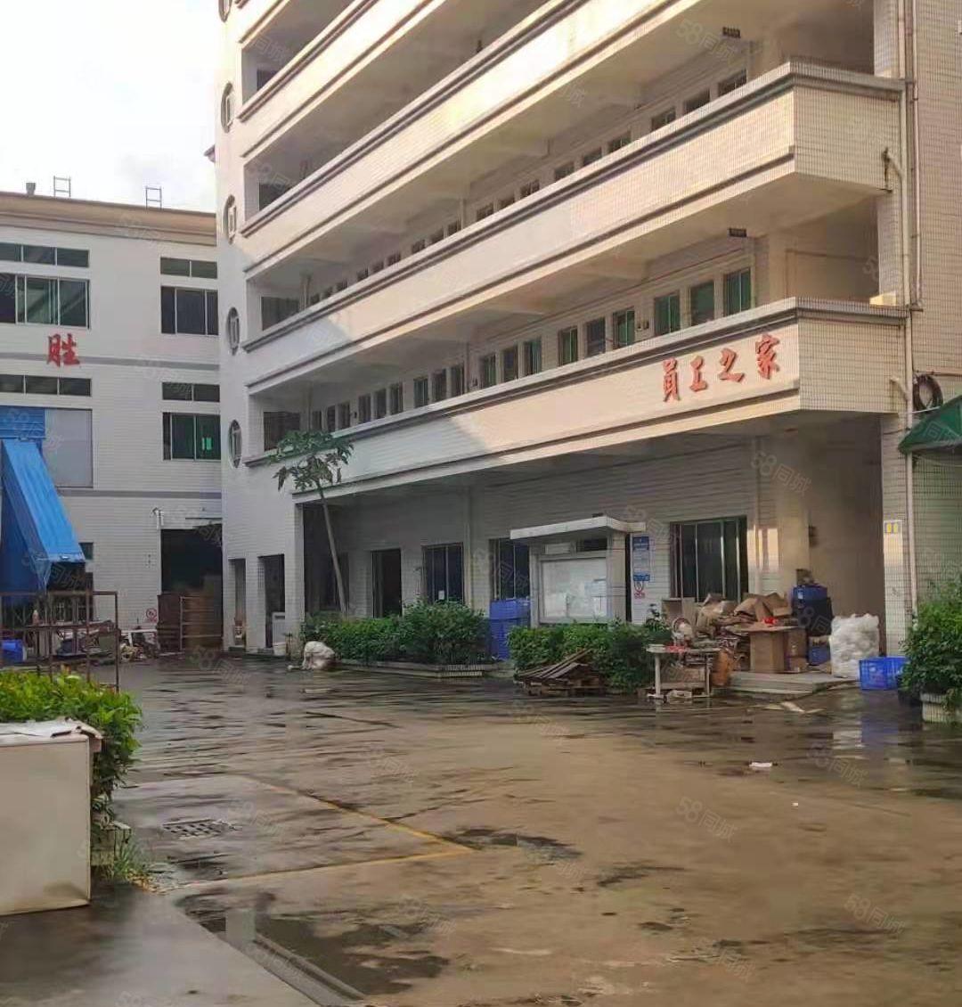 惠东县吉隆镇花园式独门独院标准厂房7680火热招租可办环评