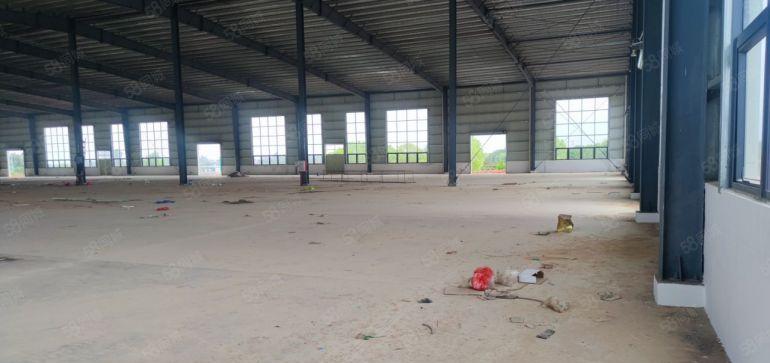 惠东11米钢结构11500平方出租，1000平起分租