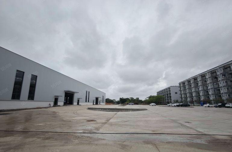 13元滴水9米全新红本单一层8000平方惠东大岭原房东直租