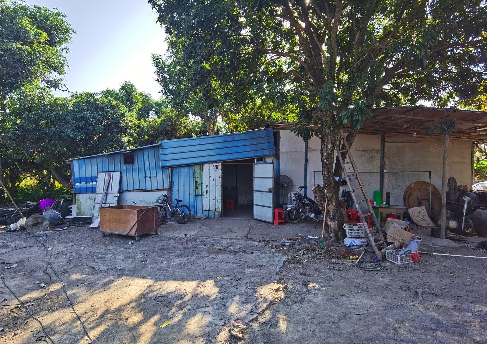 惠东县白花镇偏远树林中独门独院500平可做破碎钢结构厂房出租