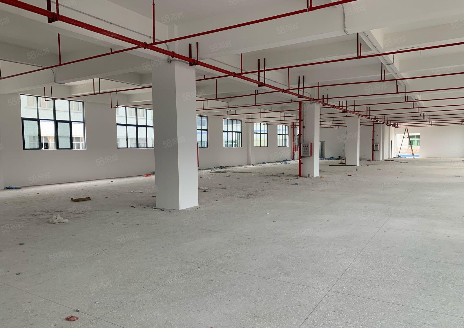 (带货梯)大岭镇鞋材市场厂房600平方出租价格低空地大