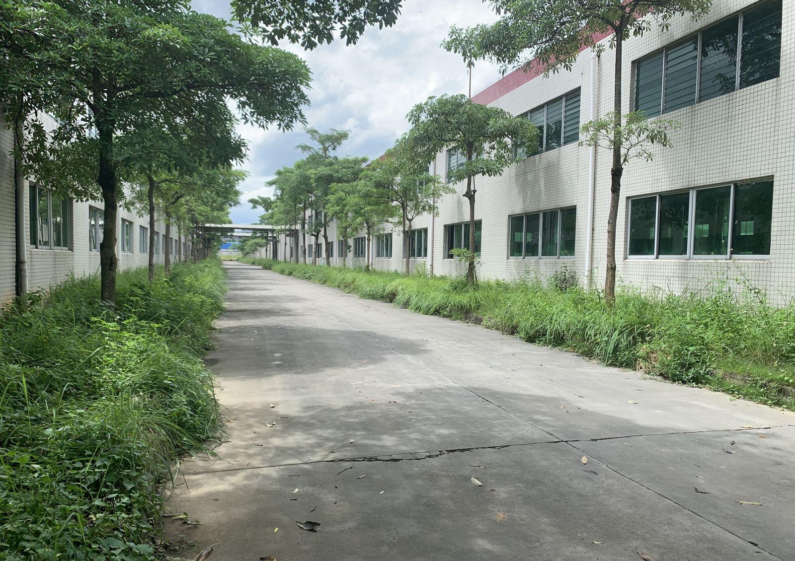 惠东红本钢构厂房2800平方可分租10米高空地大