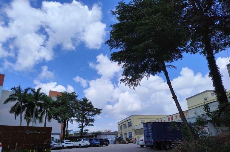 惠东大岭8元起3000平方厂房仓库一楼低价出租200平起分