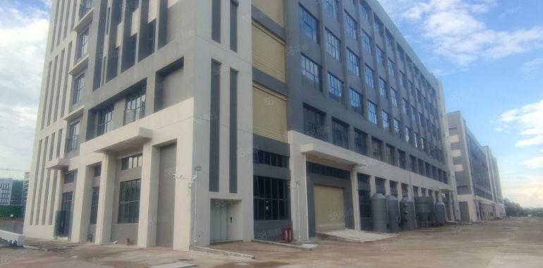 惠东大岭工业区10000平独栋全新标准重工业厂房物流仓库出租