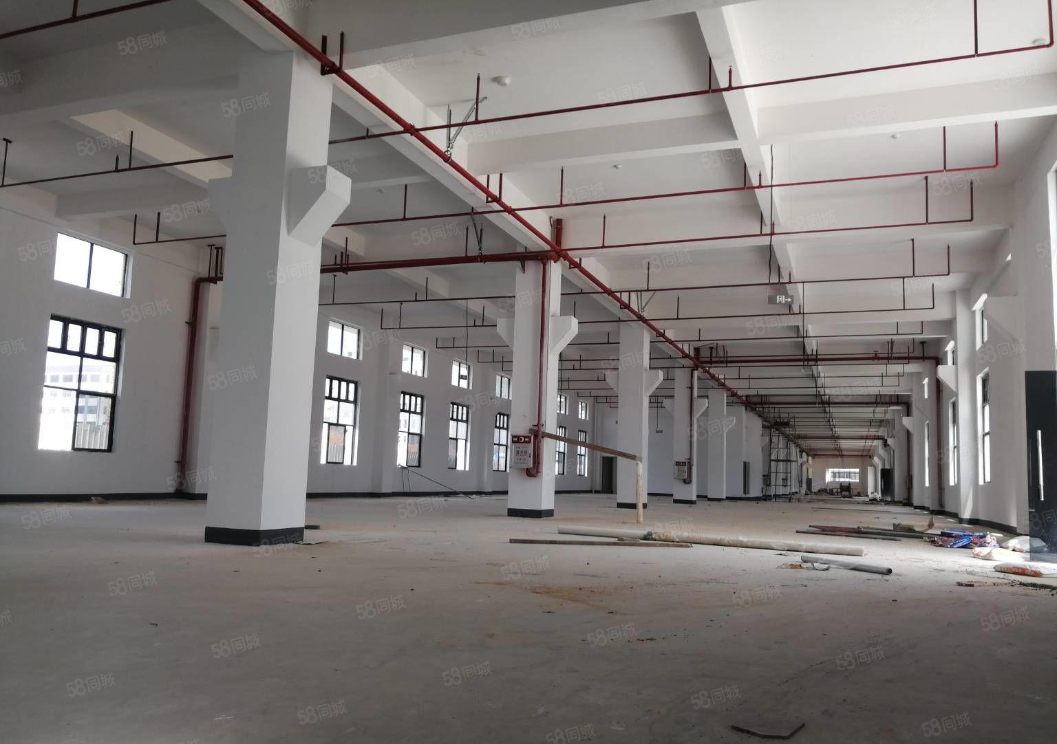 惠东大岭鞋材基地5000平米全新工业红本厂房仓库出租可办环评