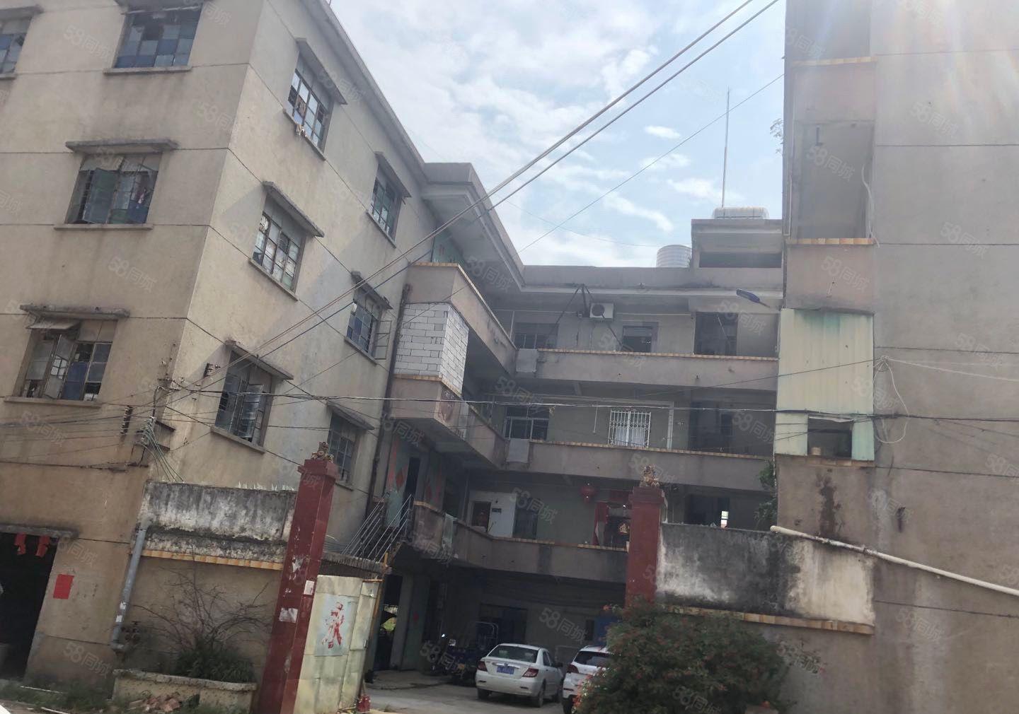 出租大岭一楼600平方楼房厂房，路道可进大车，租金9元一平方