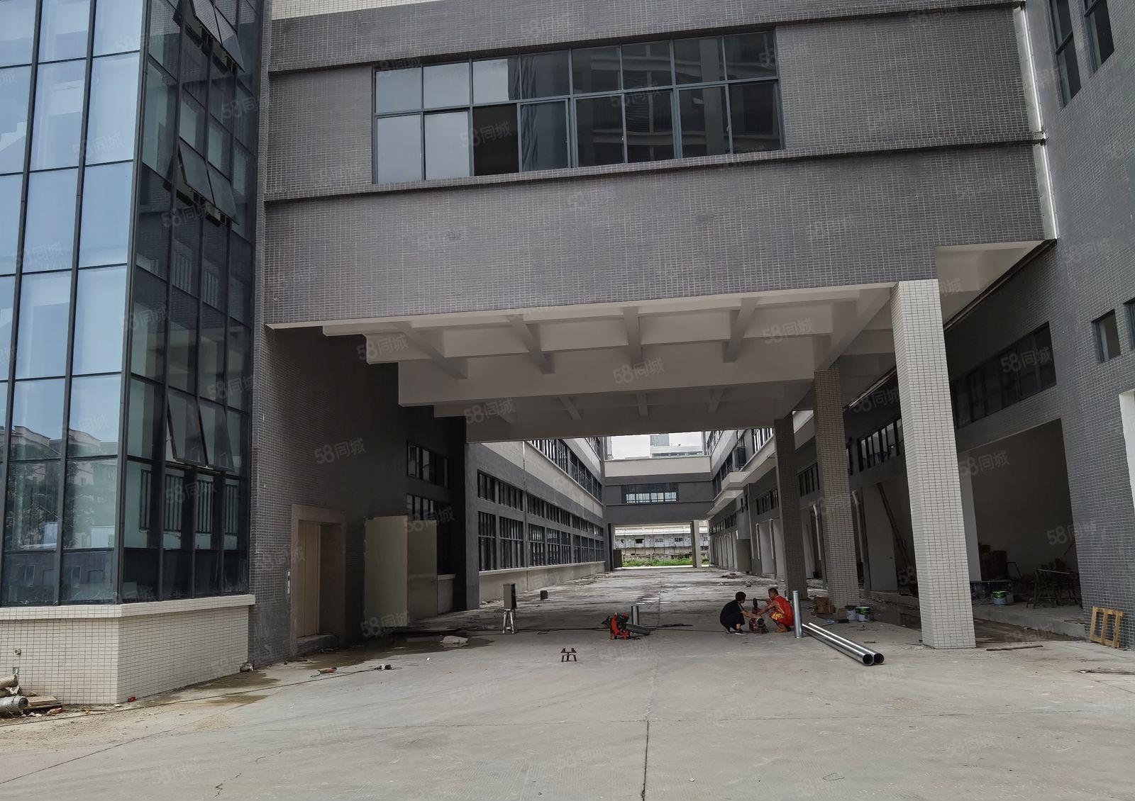 惠东平潭镇60000平方全新红本标准厂房原房东招租可分租